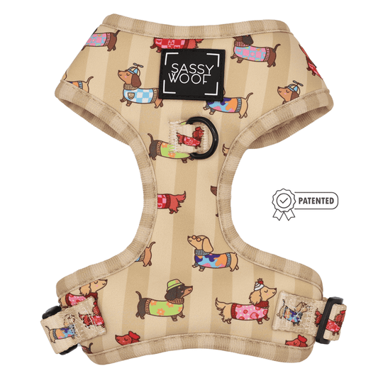 Dog Two Piece Bundle - Sunbean