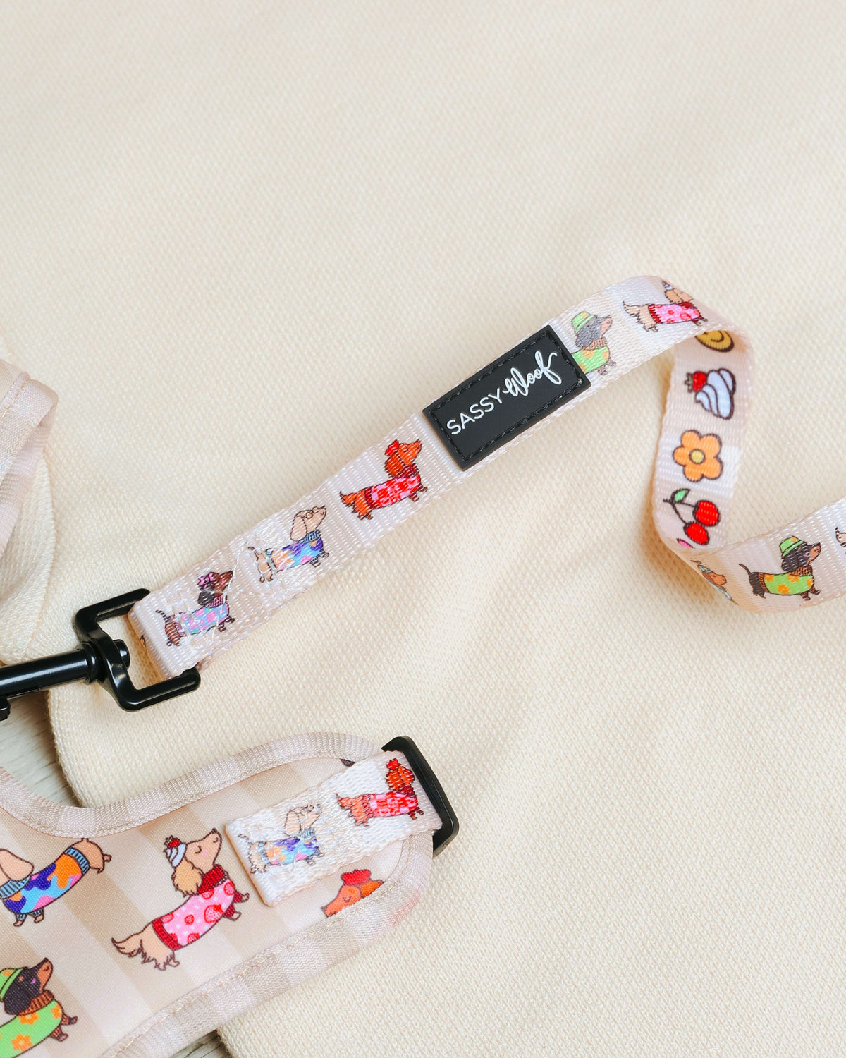 Dog Leash - Sunbean