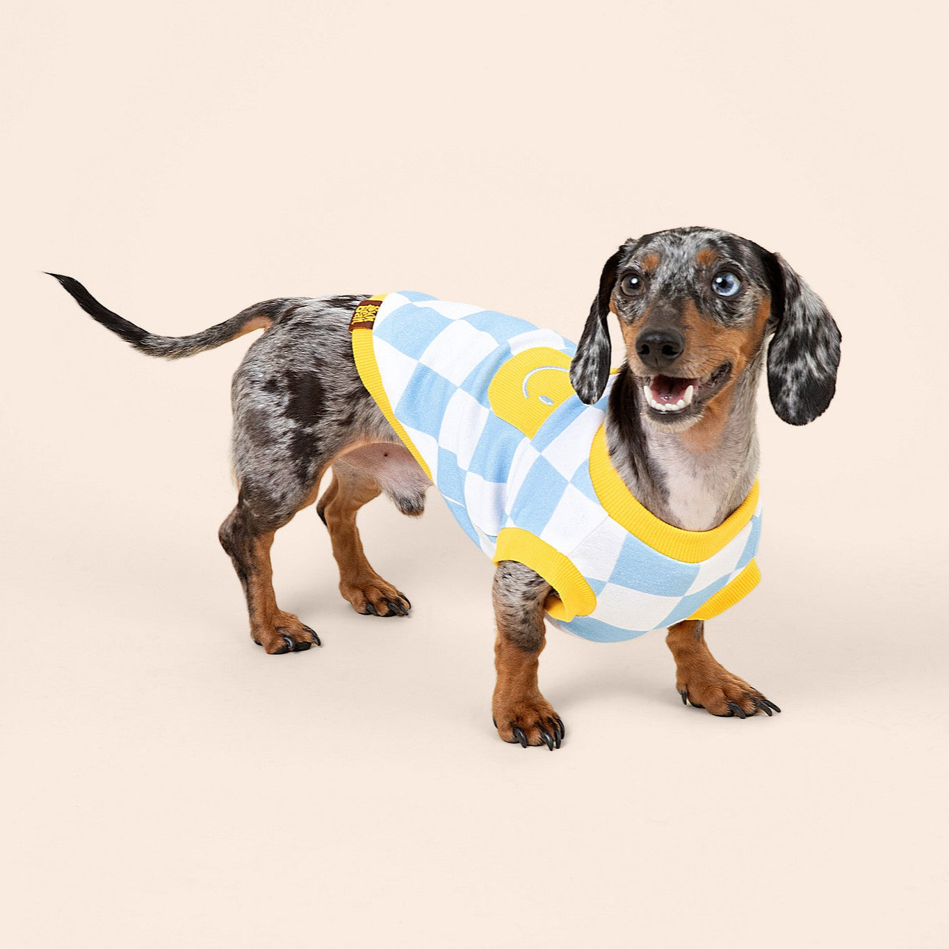 Dog Cotton Smiley Tee