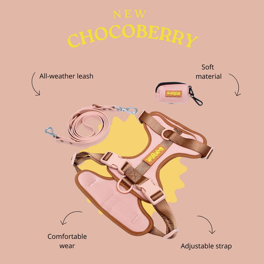 Build Your Own Walk Kit (Mix and Match) Sunbean