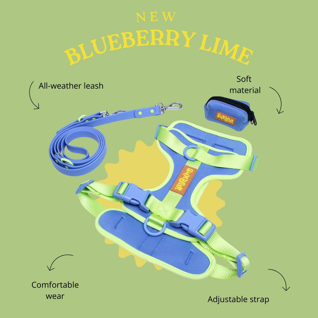 Build Your Own Walk Kit (Mix and Match) Sunbean