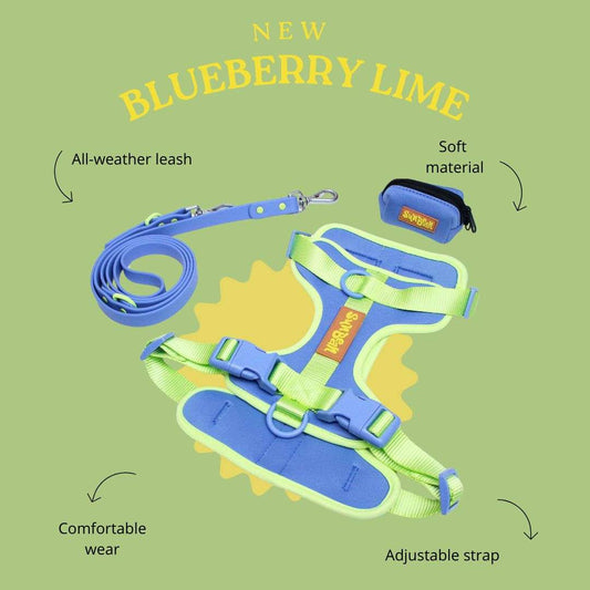 Build Your Own Walk Kit (Mix and Match) Sunbean