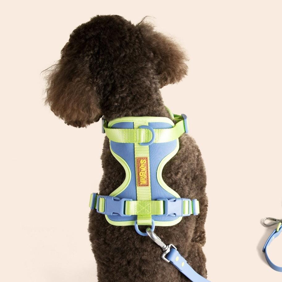 Build Your Own Walk Kit Sunbean