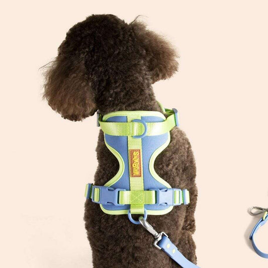 Build Your Own Walk Kit Sunbean