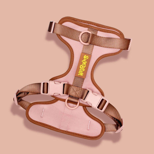 Dog Harness Sunbean Chocoberry Extra small