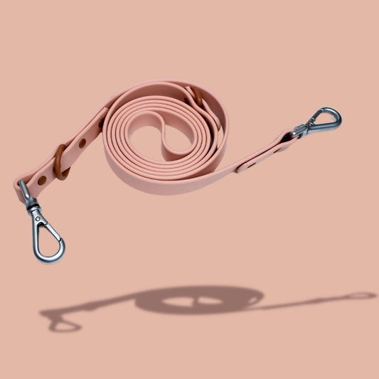Dog Leash Sunbean