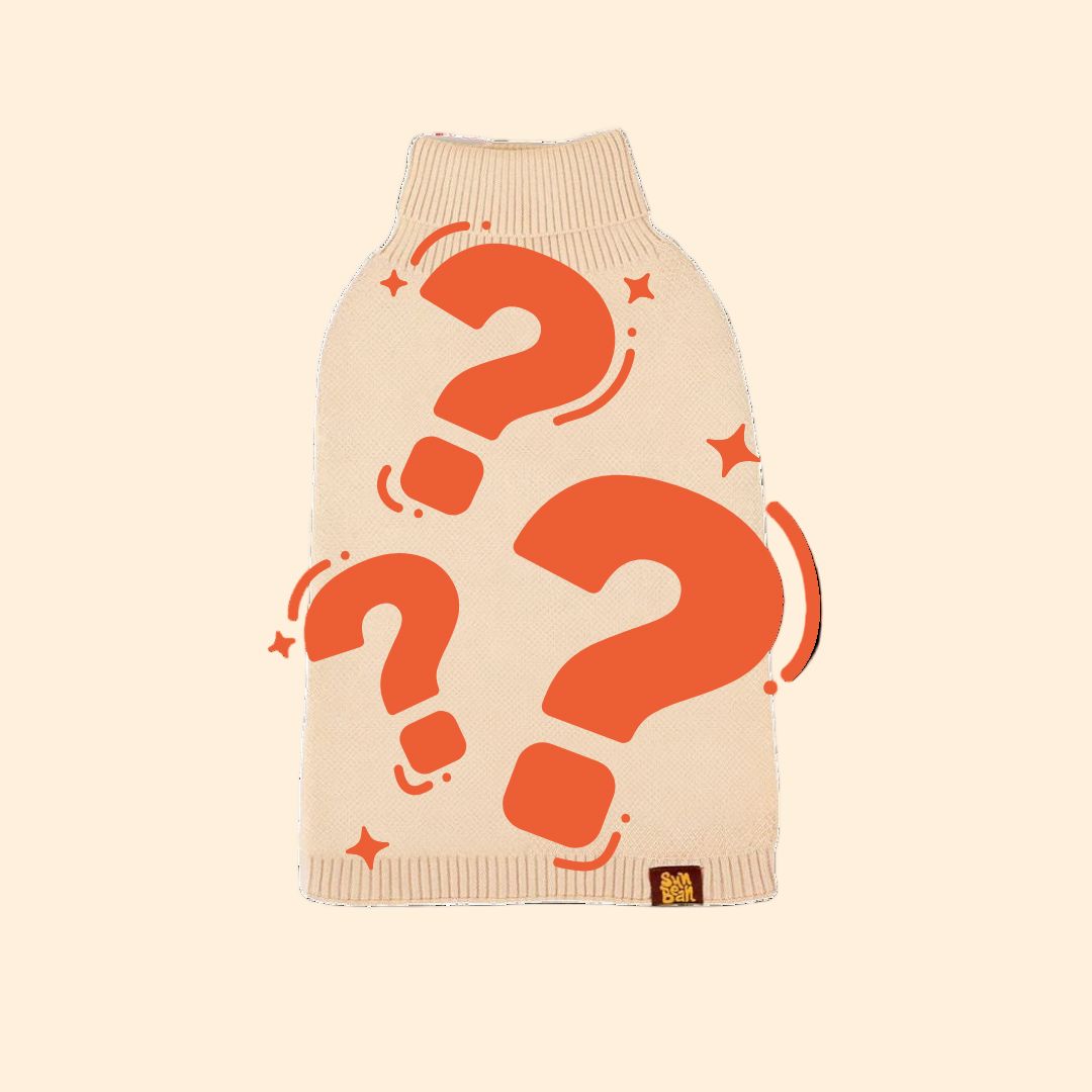 Mystery Dog Clothes Sunbean