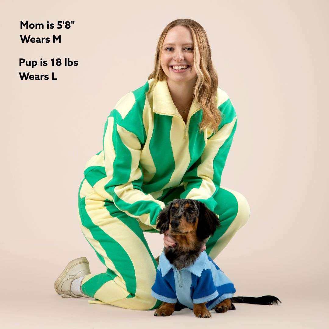 *Pre Order* Ziggy Cotton Quarter Zip Dog and Dog Owner Matching Set Sunbean