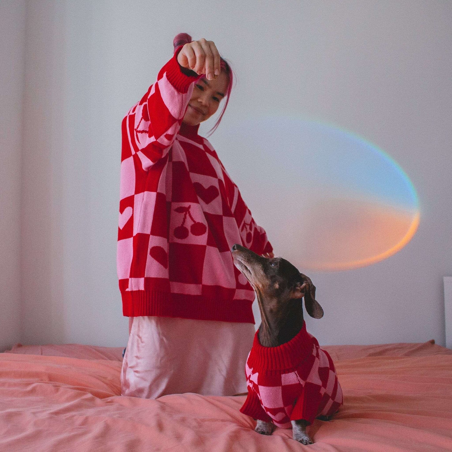 *PREORDER* Love Matching Sweater For Dog and Dog Parent Sunbean
