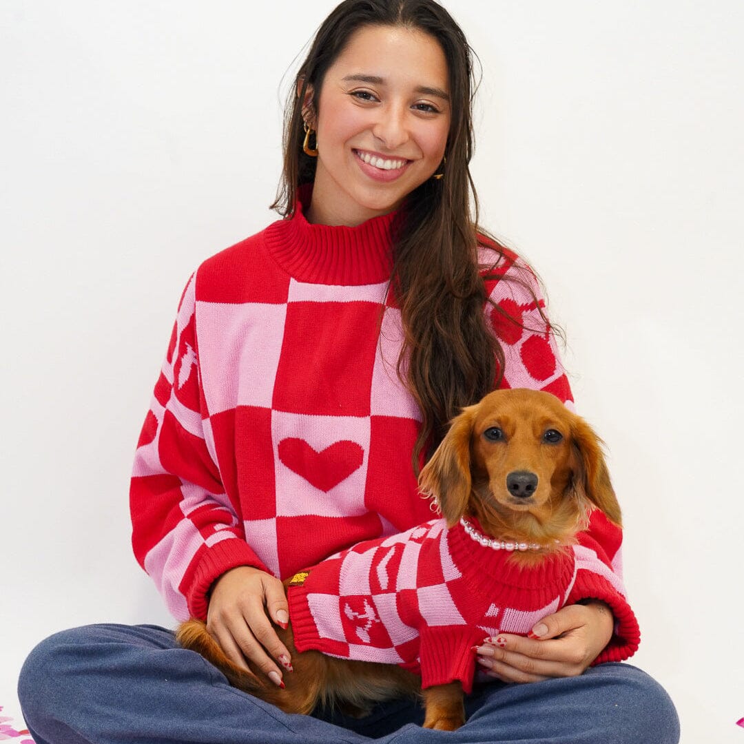 Love Matching Sweater For Dog and Dog Parent