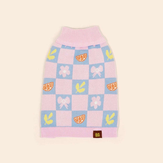 Shelly Cotton 2-Pieces Matching Sweater Set For Dog and Dog Mom Sunbean