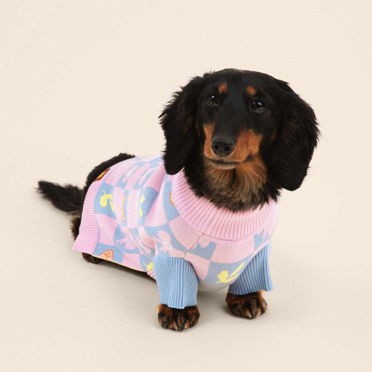 Shelly Cotton 2-Pieces Matching Sweater Set For Dog and Dog Mom Sunbean
