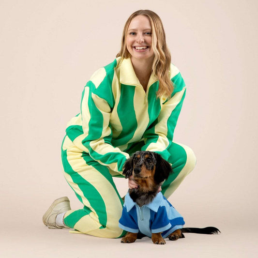 Ziggy Cotton Dog Quarter-Zip Pullover Sunbean