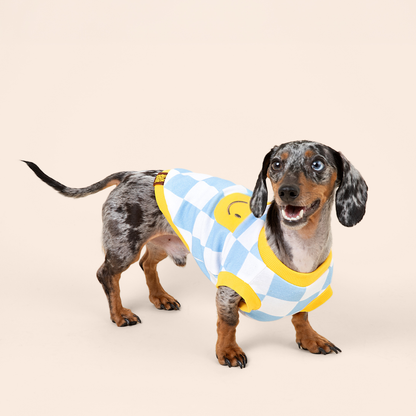 Cotton Smiley Tee Designed for dachshunds loved by all breeds |Sunbean