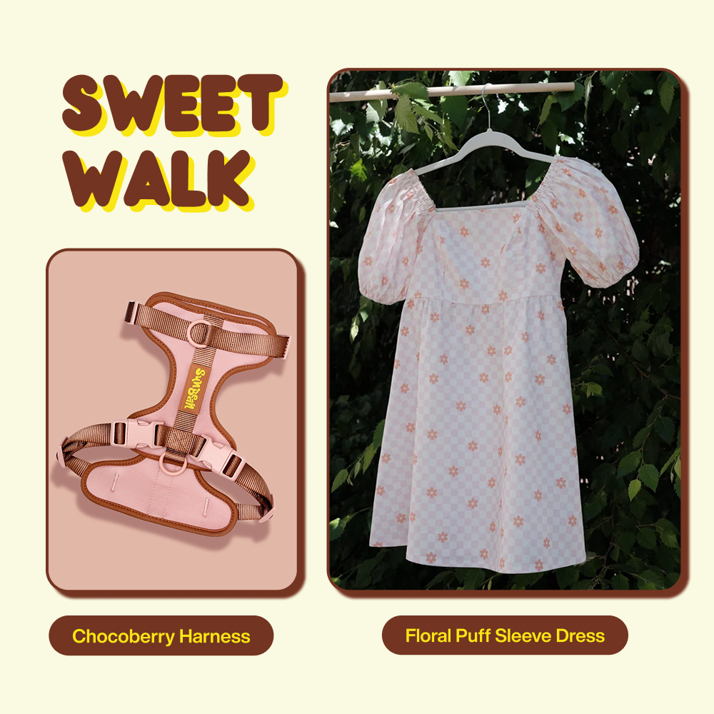 Sweet Walk Bundle — Color Coordinated Dog Mom & Dog Walk Outfit Set