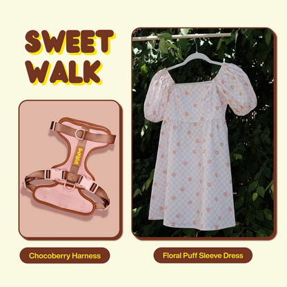 Sweet Walk Bundle — Color Coordinated Dog Mom & Dog Walk Outfit Set