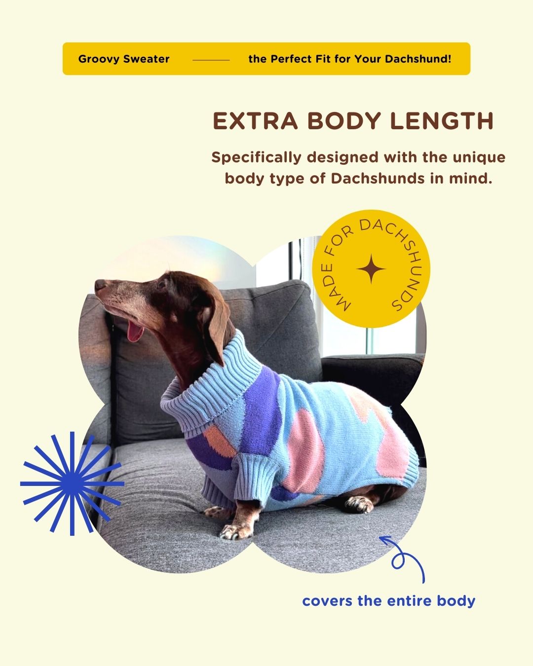 Extra Body Length- Dachshunds