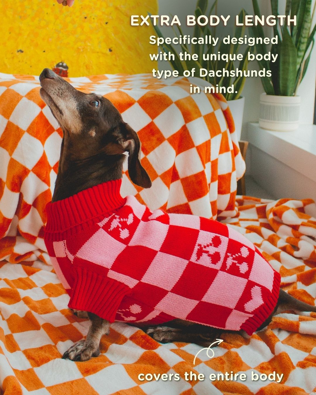 Specifically Designed for Dachshunds