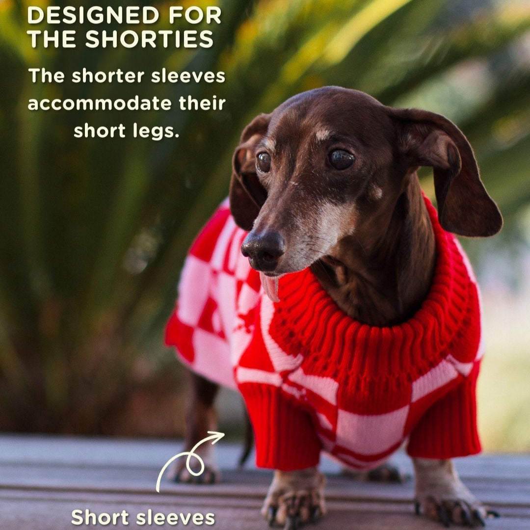 Dachshund New Look Christmas Jumpers 2021 Knitting Pattern