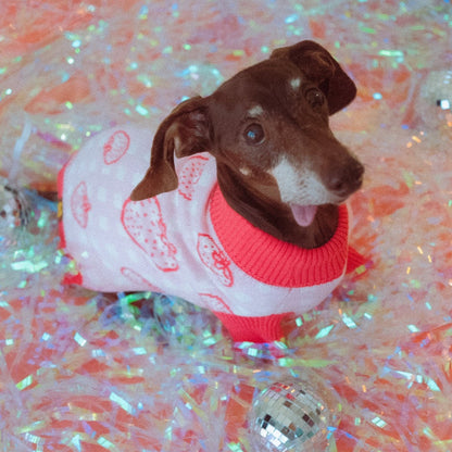 Strawberry Cotton 2-Piece Matching Sweater For Dog and Dog Mom