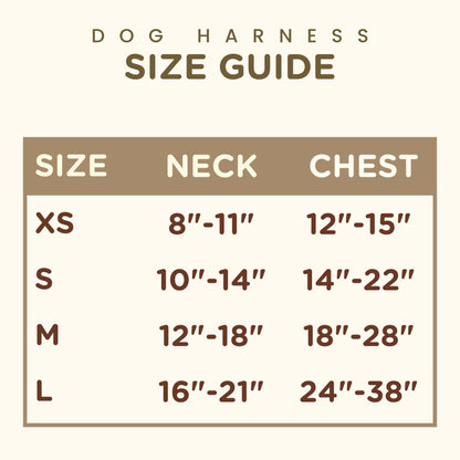 Garden Walk Bundle — Matching Dog Mom & Dog Walk Outfit Set