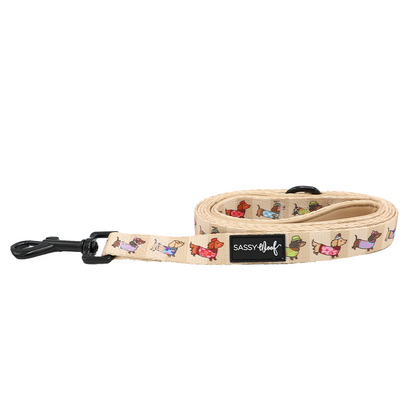 Dog Leash - Sunbean