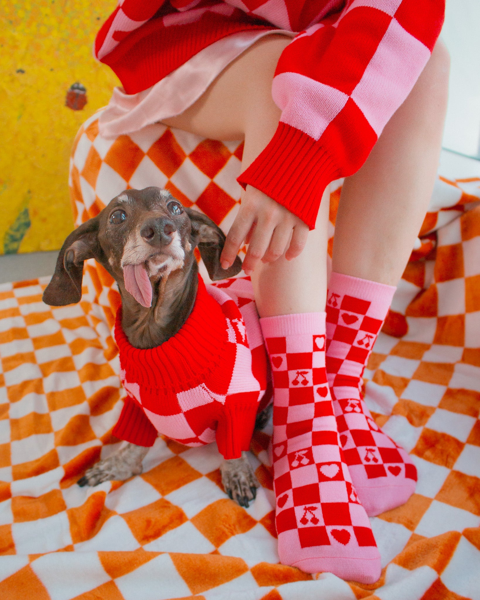 Human Knitted Love Sweater for you and your puppy