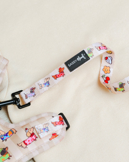 Dog Leash - Sunbean