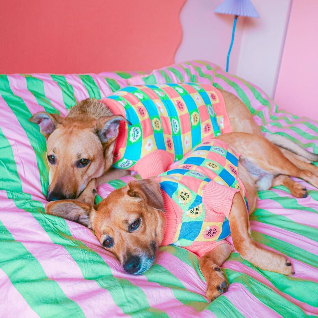 *Limited* Candy Courn Matching Oversized Sweater Set For Dog And Dog Mom