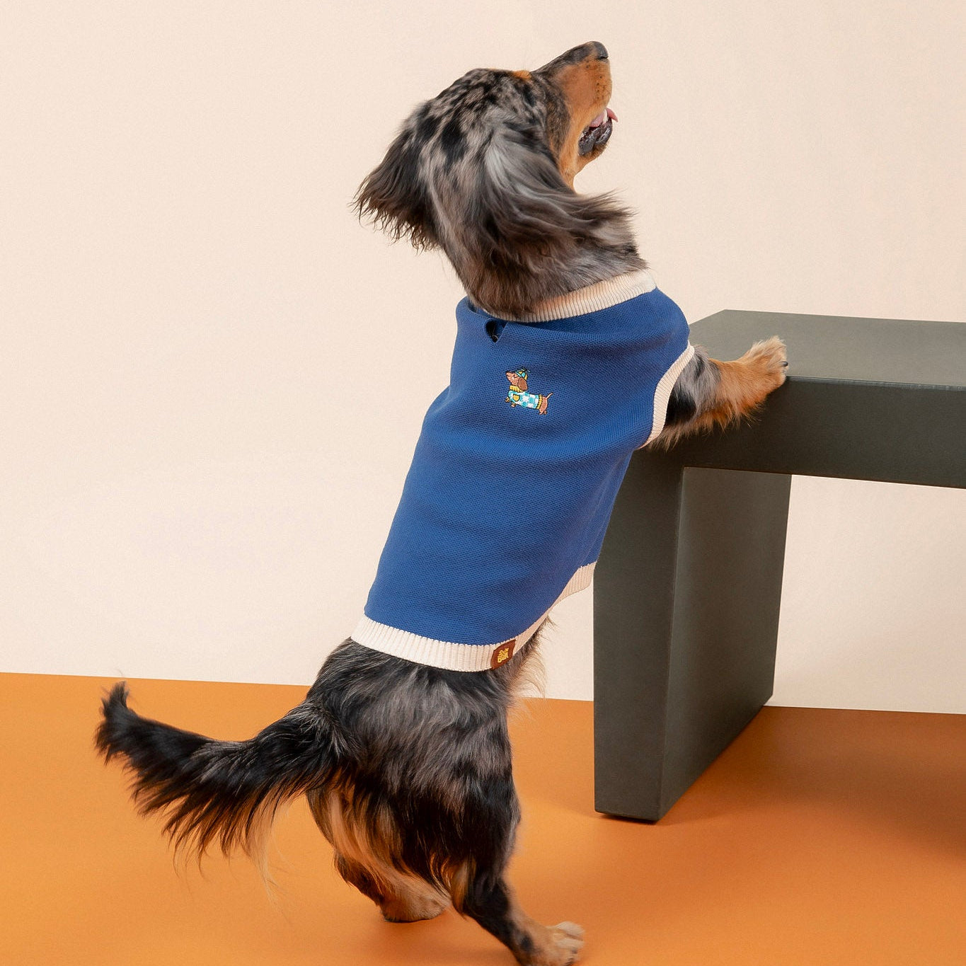 Sassy Woof x Sunbean Dog Tee