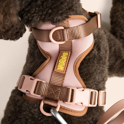 Dog Harness