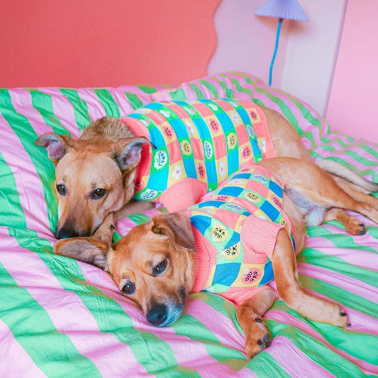 Candy Courn Dog Sweater Sweater Sunbean 