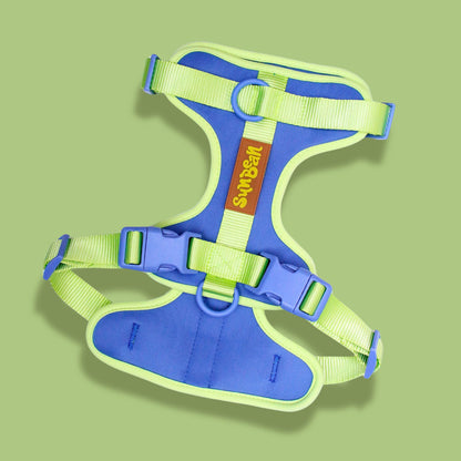 Garden Walk Bundle — Matching Dog Mom & Dog Walk Outfit Set