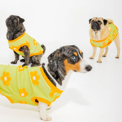 Flower Power Dog T-shirt Sunbean 