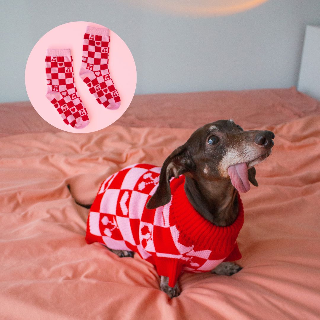 FREE Matching Socks with LOVE Dog Sweater Fast Bundle 