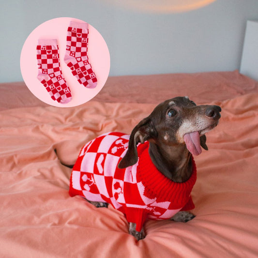 FREE Matching Socks with LOVE Dog Sweater Fast Bundle 