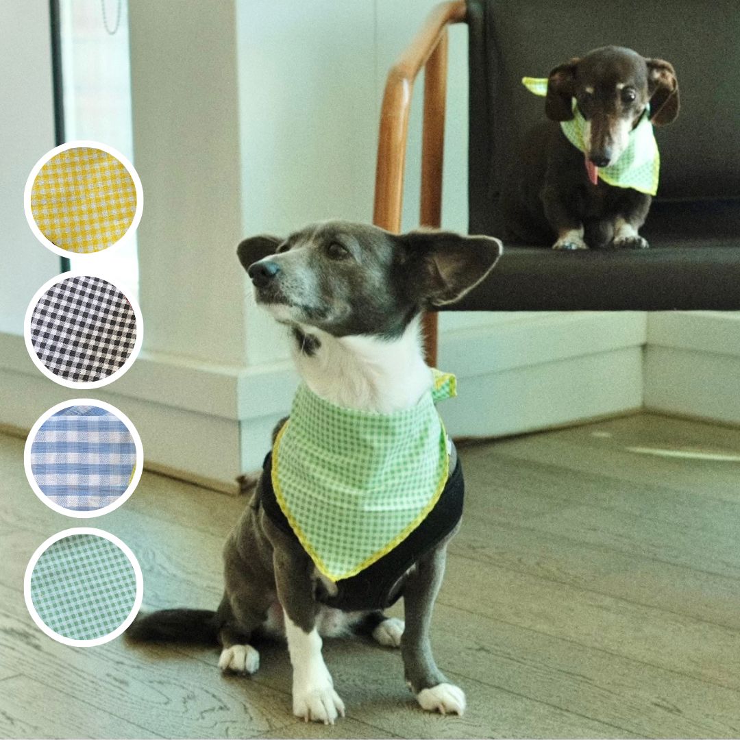 Gingham Bandana and Scrunchie Set Sunbean 