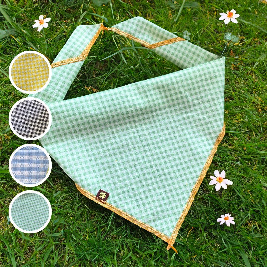 Gingham Bandana and Scrunchie Set Sunbean Green M (25 x 15 in) 