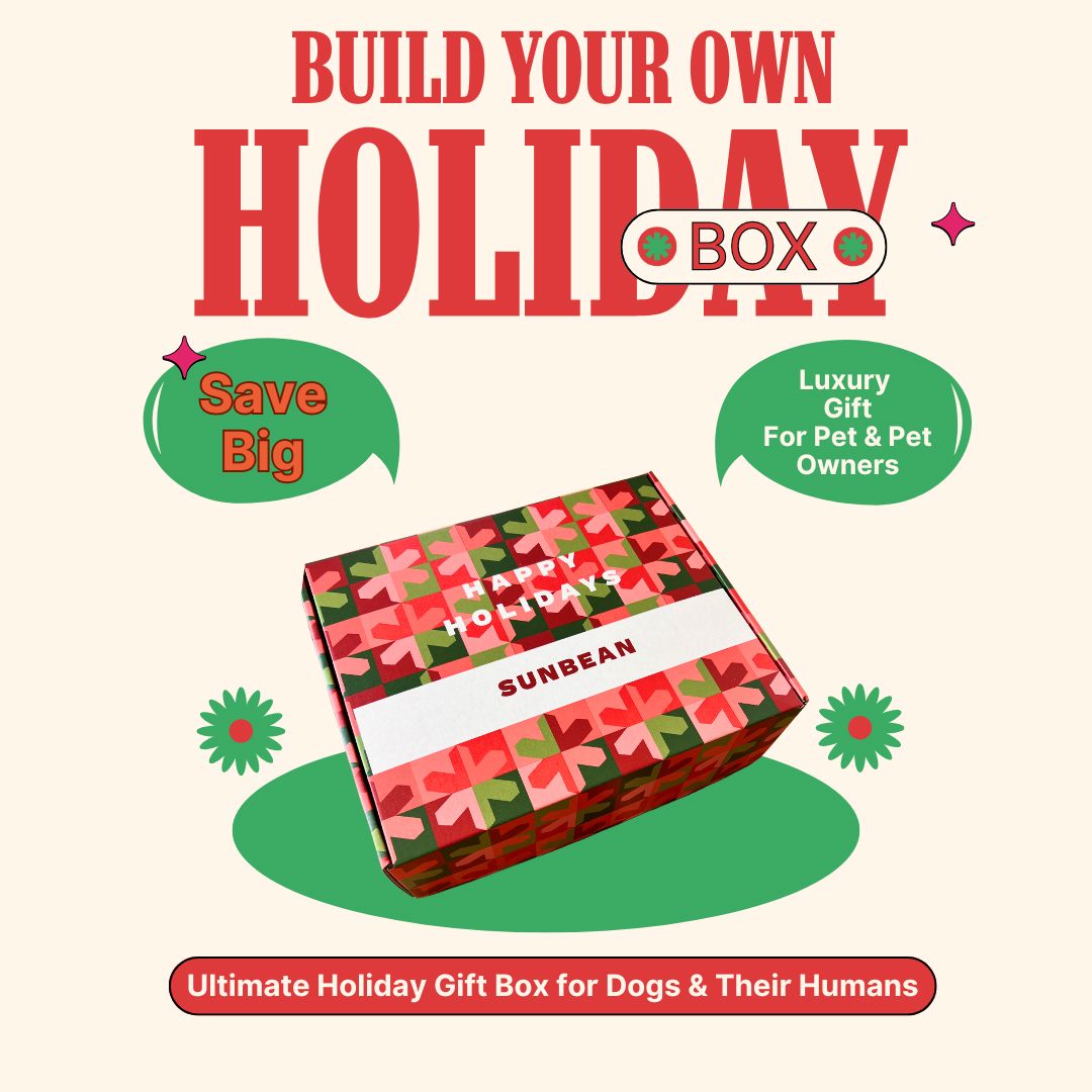 Holiday Gift Box for Dogs & Dog Lovers Fast Bundle 