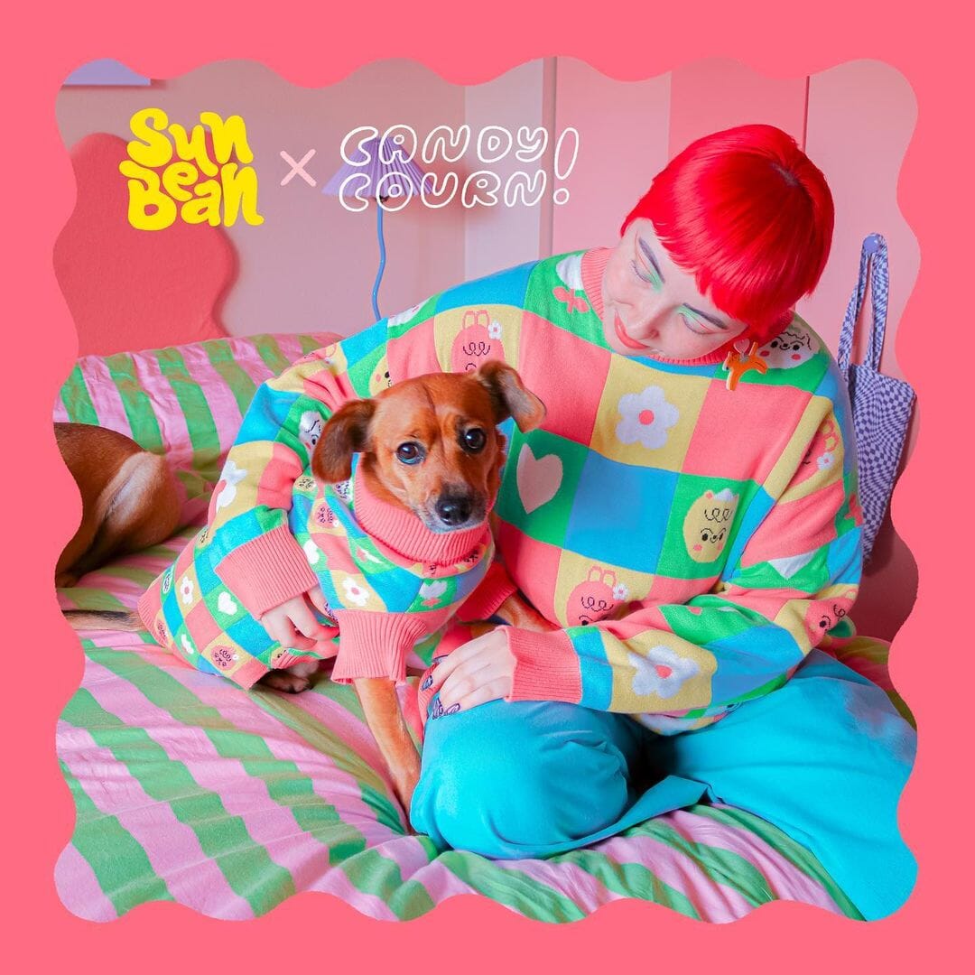 *Limited* Candy Courn Cotton 2-Piece Matching Sweaters For Dog and Dog Parents Sweater Sunbean 