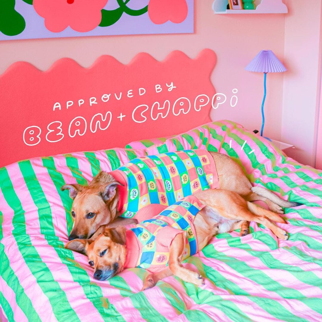 *Limited Edition* Candy Courn Matching Cotton Sweater Set For Dog And Dog Mom Sunbean 