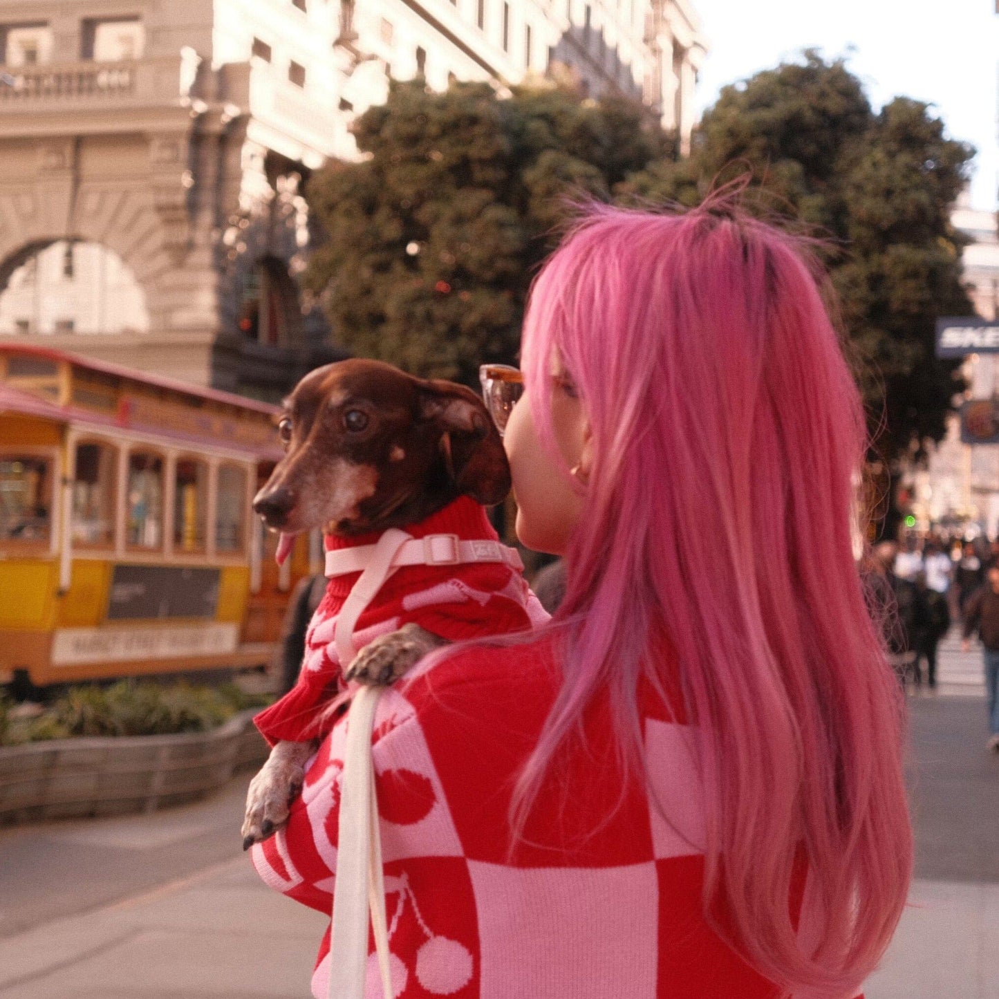 Love Matching Sweater For Dog and Dog Parent Sunbean 