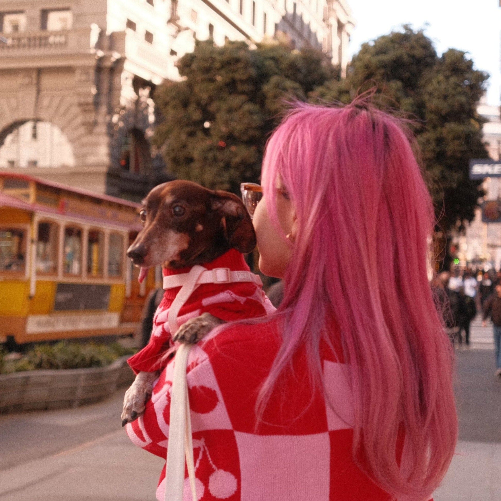Love Matching Sweater For Dog and Dog Parent Sunbean 