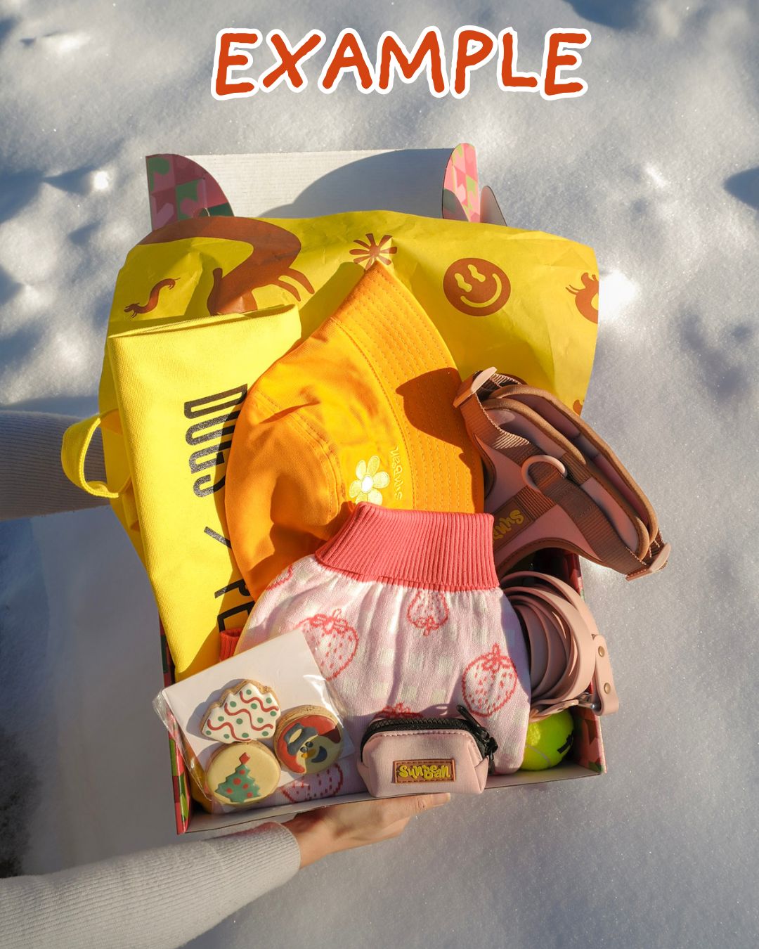 Mystery Holiday Box ($190+ Value) Sunbean 