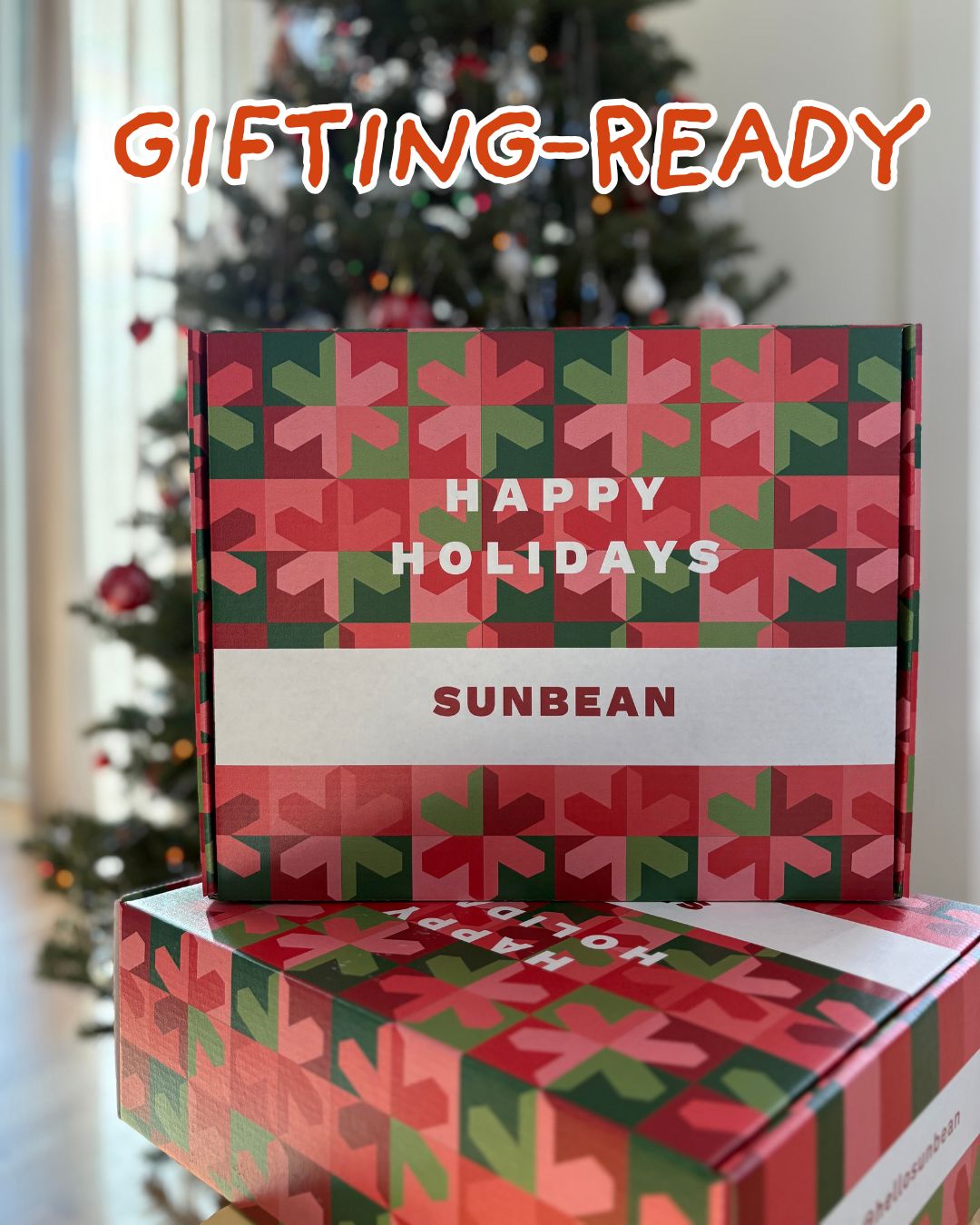 Mystery Holiday Box ($190+ Value) Sunbean 