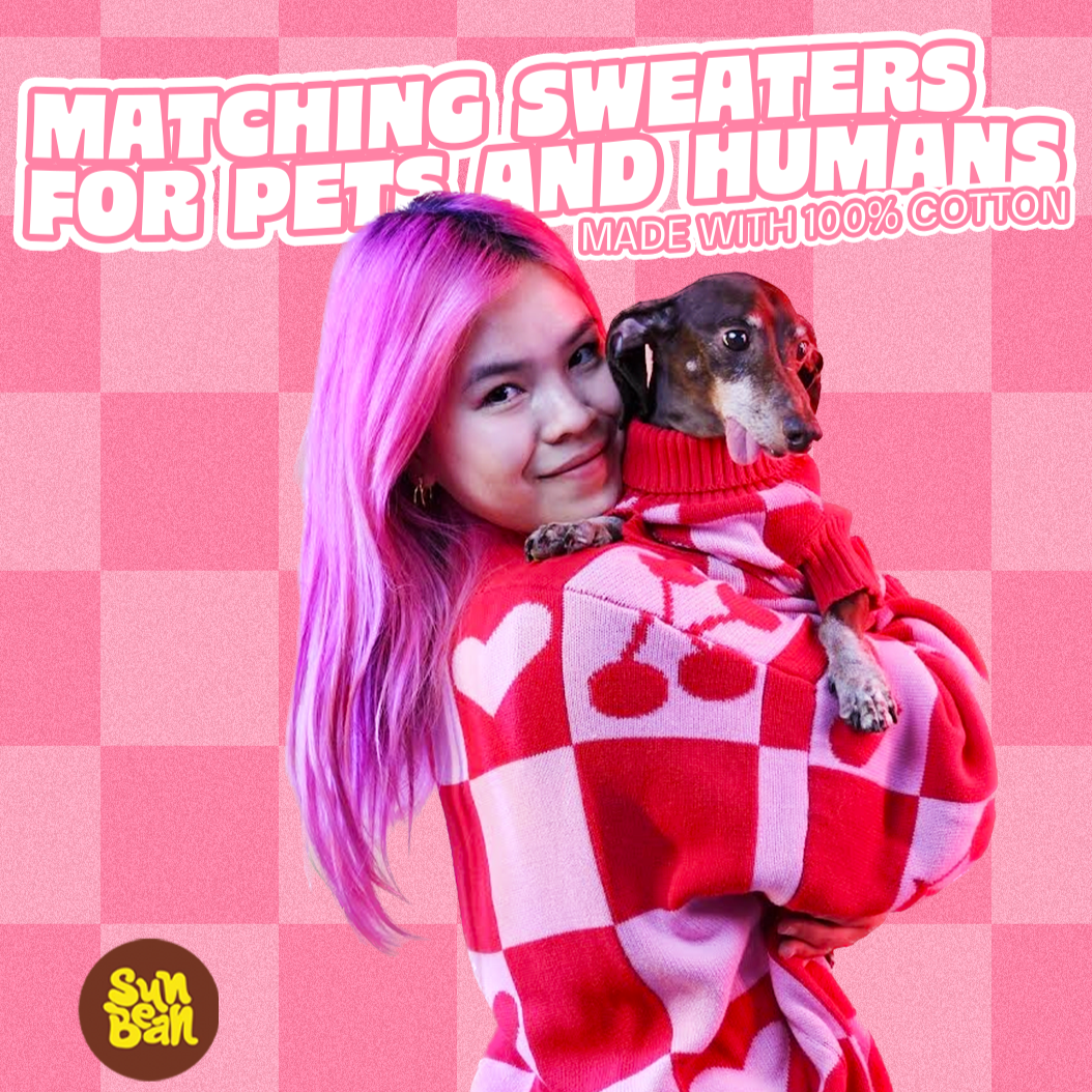 Love Matching Sweater For Dog and Dog Parent