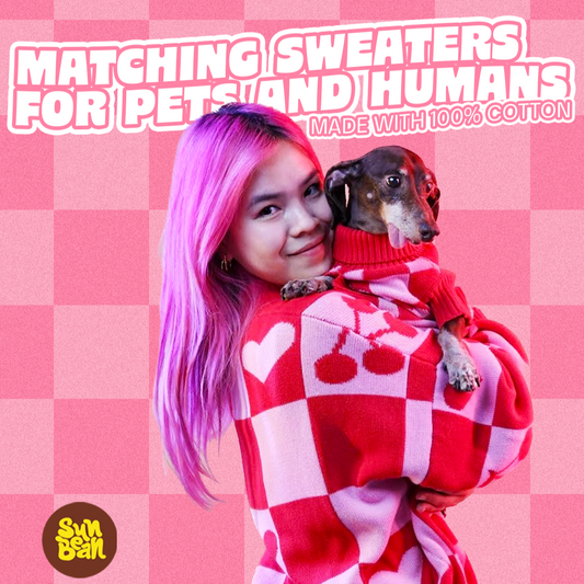 Love Matching Sweater For Dog and Dog Parent