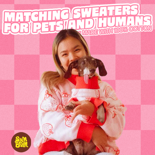 Strawberry Matching Sweater For Dog and Dog Mom
