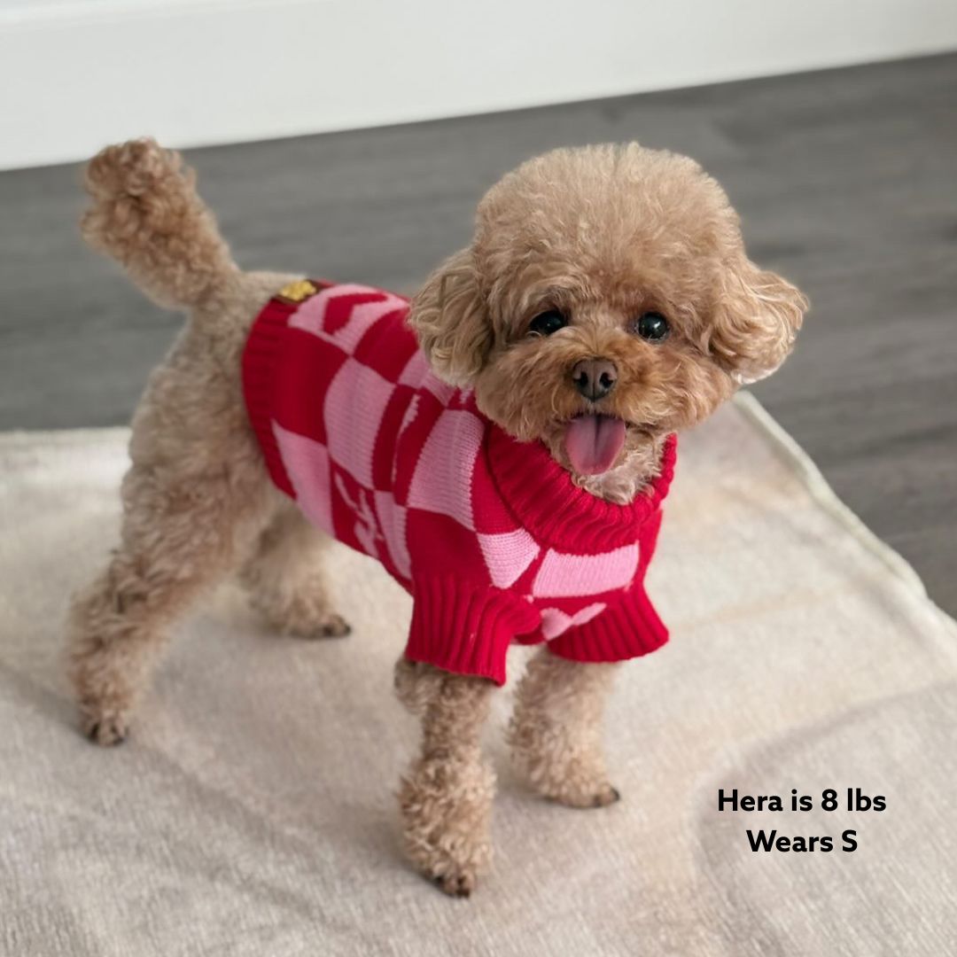 *PREORDER* Love Matching Sweater For Dog and Dog Parent Sunbean 