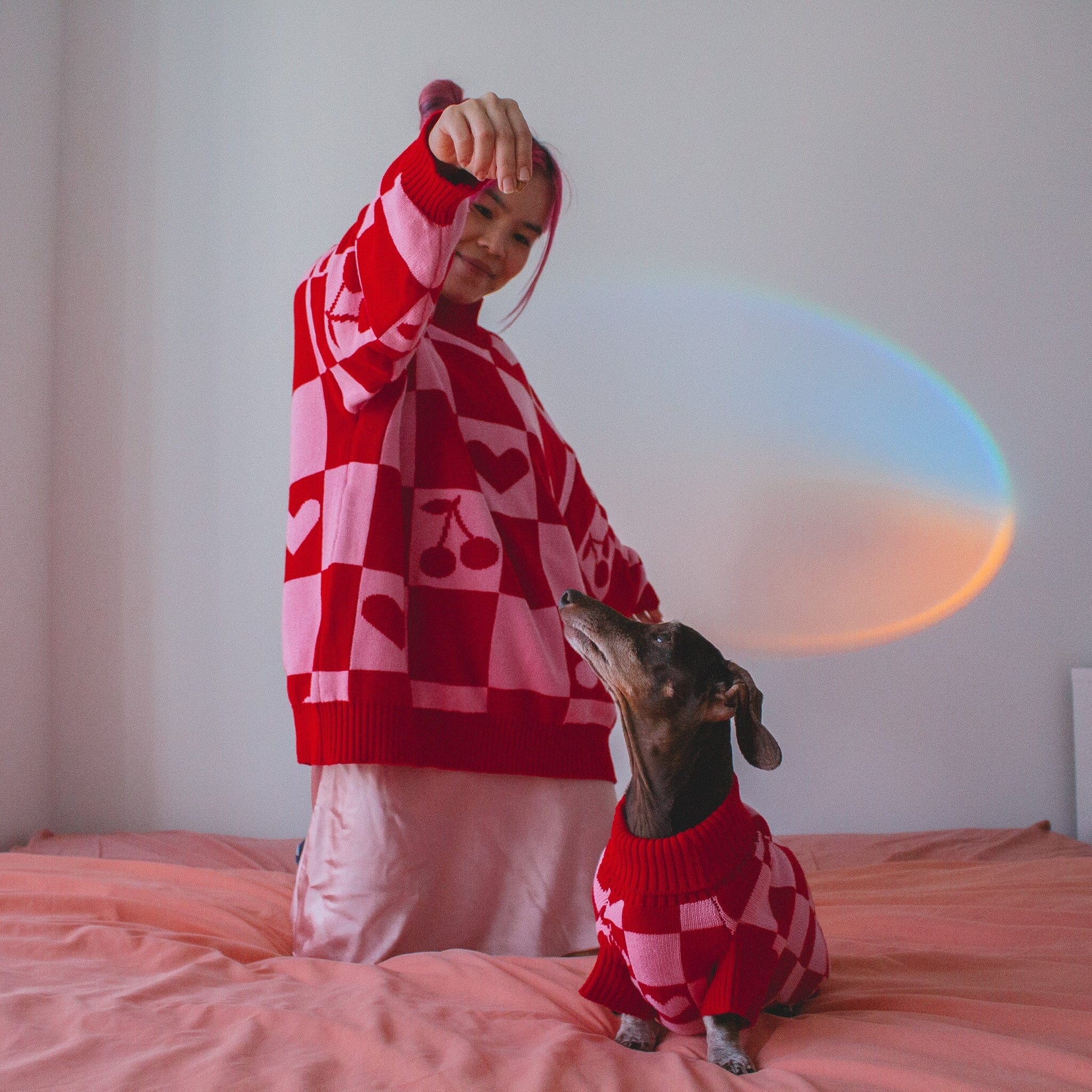 *PREORDER* Love Matching Sweater For Dog and Dog Parent Sunbean 